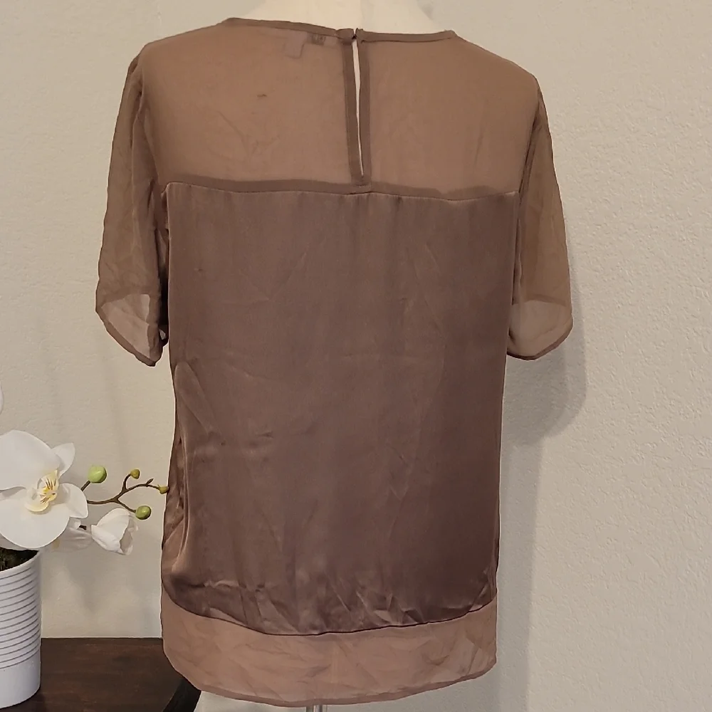 DR2 Brown Short Sleeve Blouse with Elegant Sheer Neckline - Picture 3 of 3
